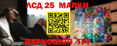 прущие грибы Нальчик