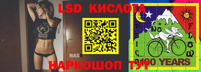 прущие грибы Нальчик