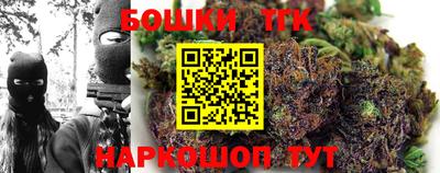 прущие грибы Нальчик