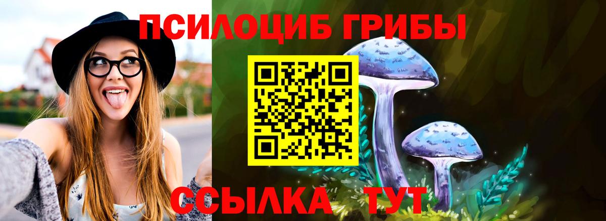 Псилоцибиновые грибы мухоморы Шали