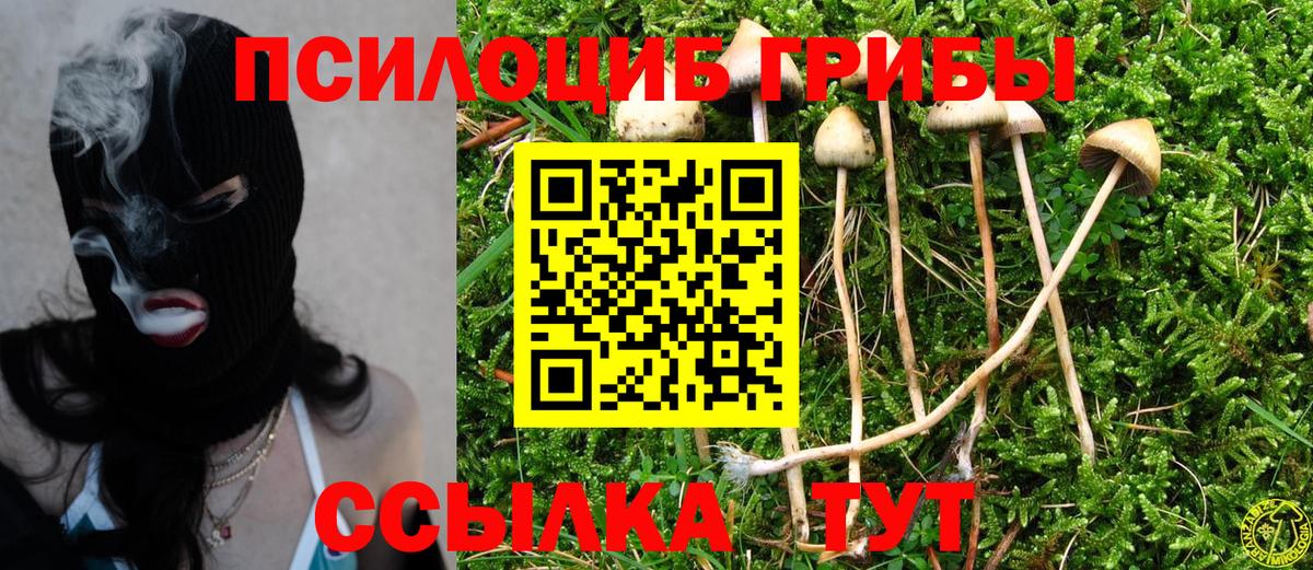 Шали  Галлюциногенные грибы прущие грибы  Вход с VPN 